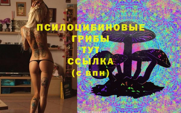 марки lsd Белокуриха